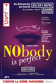 Nobody is perfect La Scne Parisienne - Salle Anmone Affiche