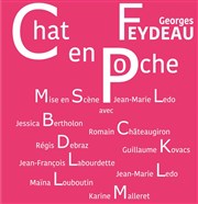 Chat en poche Guichet Montparnasse Affiche