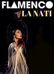 Flamenco Show Nati James Péniche Le Marcounet Affiche
