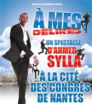 Ahmed Sylla dans A mes délires ! La Cit Nantes Events Center - Grande Halle Affiche