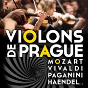 Violons de Prague | Obernai glise Saints-Pierre-et-Paul Affiche