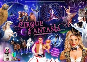 Cirque Fantasia | Montmorillon Chapiteau du Cirque Fantasia Affiche