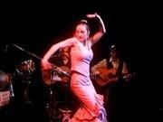 Flamenco Caf-Thtre Le Tocali Affiche