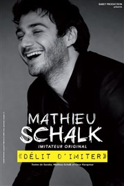 Mathieu Schalk dans Délit d'imiter Royale Factory Affiche