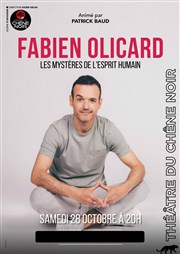 Fabien Olicard : Les mystères de l'esprit humain Thtre du Chne Noir - Salle Lo Ferr Affiche
