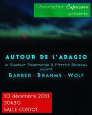 Autour de l'Adagio : le Quatuor Rosamonde joue Barber, Brahms et Wolf Salle Cortot Affiche