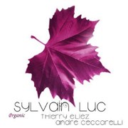 Sylvain Luc Trio Organic Thtre de Saint Maur - Salle Rabelais Affiche