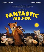 Fantastic M. Fox Espace des Collines Affiche