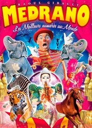 Fantastique Festival International du Cirque Medrano | - à Dijon Chapiteau du Cirque Medrano  Dijon Affiche