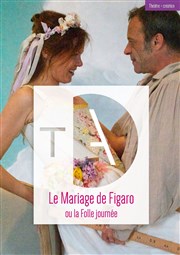 Le Mariage de Figaro Théâtre Alexandre Dumas Affiche