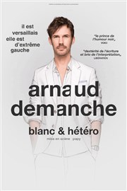 Arnaud Demanche dans Blanc & hétéro Le K Affiche
