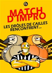 Match d'Impro : Les Drôles de Cailles rencontrent... Centre d'animation Poterne des Peupliers Affiche