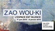 Visite guidée : Zao-Wou-Ki, l'espace est silence | par Hélène Klemenz Muse d'art moderne de la ville de Paris Affiche