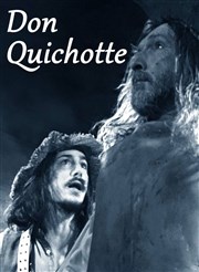 Don Quichotte Thtre du Carr Rond Affiche