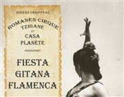 Grande Fiesta Gitana Flamenca Cirque Tzigane Romans Affiche