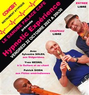 Concert Hypnotic Experience Le Danube Palace Caf Affiche