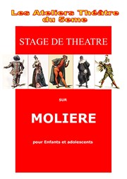 Stage sur Molière Maison des Jeunes Saint Mdard Affiche