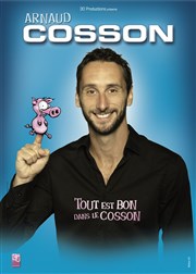 Arnaud Cosson dans Tout est bon dans le Cosson Le Paris - salle 1 Affiche