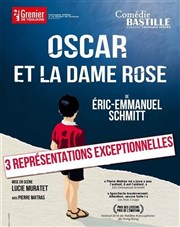 Oscar et la dame Rose Comédie Bastille Affiche
