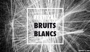 Festival Bruits Blancs Anis Gras Affiche
