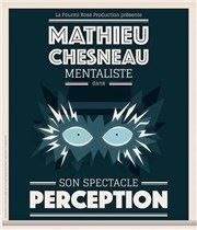 Mathieu Chesneau dans Perception Familia Thtre Affiche