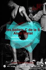 Tauberbach Chaillot - Thtre National de la Danse / Salle Jean Vilar Affiche