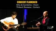 Récital chant flamenco Au Chat Noir Affiche