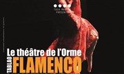 Tablao Flamenco Thtre de L'Orme Affiche