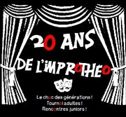 Les 20 ans de l'Improtheo - Match d'impro 1995 vs 2015 Salle des ftes de Saint Martin Le Noeud Affiche