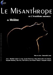 Le Misanthrope Théâtre de la Libé Affiche