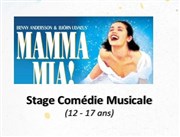 Stage de comédie musicale Mamma Mia Studio International des Arts de la Scne Affiche