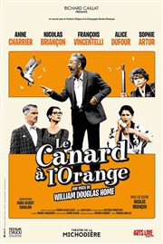Le Canard à l'orange | avec Nicolas Briançon Thtre de la Valle de l'Yerres Affiche