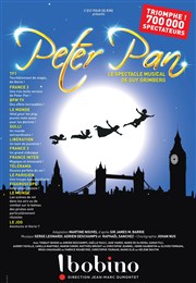 Peter Pan, le spectacle musical Bobino Affiche