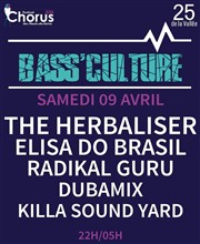 Bass'culture : The Herbaliser / Elisa Do Brasil / Radikal Guru / Dubamix / Killasoundyard 25 de la Valle Affiche