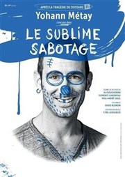 Yohann Métay dans Le sublime sabotage Espace culturel Albert Raphael Affiche