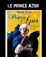 Yohann Metay dans Prince Azur Improvidence Affiche