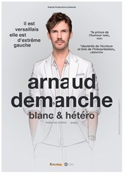 Arnaud Demanche dans Blanc & hétéro La Nouvelle Comdie Gallien Affiche
