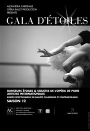 Gala d'Etoiles : Saison 12 Thtre Casino Barrire de Lille Affiche