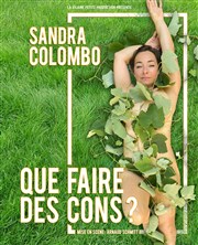 Sandra Colombo dans Que faire des cons ? Théâtre Notre Dame - Salle Noire Affiche