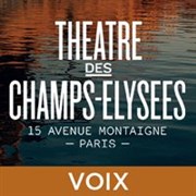 Elina Garanca mezzo-soprano Thtre des Champs Elyses Affiche