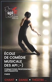 Auditions d'entrée formation pro API Comédie Musicale 2023-24 Salle de l'Echiquier Affiche