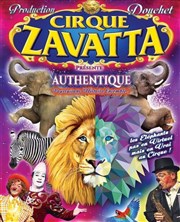Cirque Zavatta Douchet | Guérande Chapiteau Cirque Nicolas Zavatta Douchet  Gurande Affiche