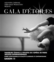 Gala d'Etoiles saison 11 Centre International de Deauville Affiche
