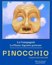 Pinocchio Thtre Le Petit Manoir Affiche