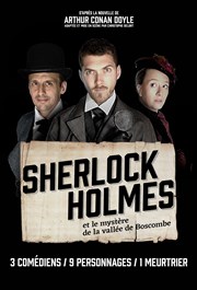 Sherlock Holmes et le mystère de la vallée de Boscombe Thtre Monsabr Affiche