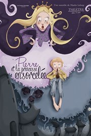 Pierre et la Princesse ensorcelée Théâtre Le Bout Affiche