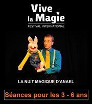 La nuit Magique d'Anaël | Festival International Vive la Magie Le Corum de Montpellier - La salle Einstein Affiche