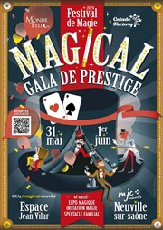 Magical | Festival de Magie à Neuville sur saône Espace Jean Vilar Affiche