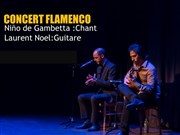 Concert Flamenco : Niño de Gambetta Le Jardin Affiche
