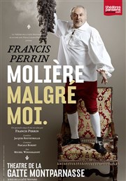 Francis Perrin dans Molière Malgré moi Gait Montparnasse Affiche